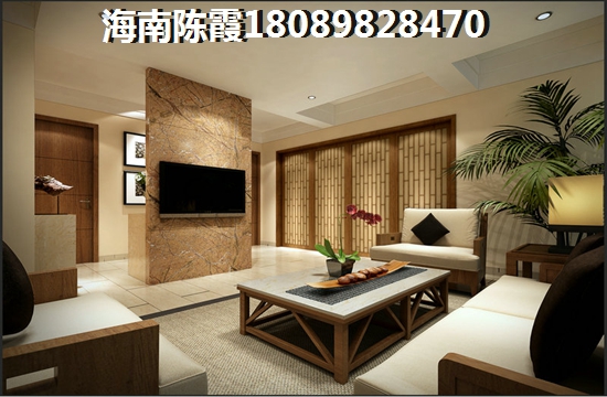 海南今后的發展前景在哪里