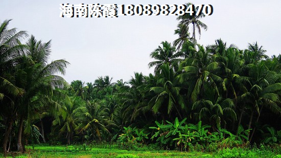 海南鳳凰谷房產投資揭秘背后的漲價秘密，未來價值不可估量！