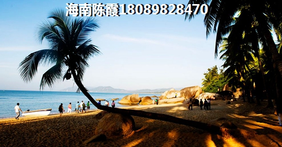 海口未來的發(fā)展?jié)摿θ绾危? title=